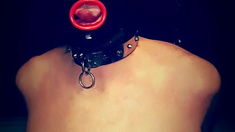 Bondage De Femdom Avec Fessée Avec Strapon Et Ballbusting